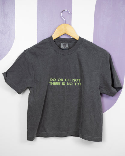 Do Or Do Not Quote